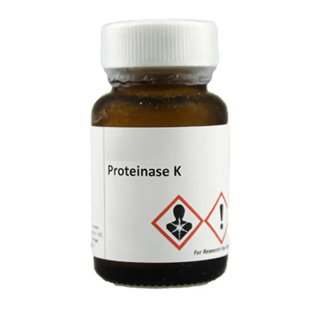 Proteinase K Powder