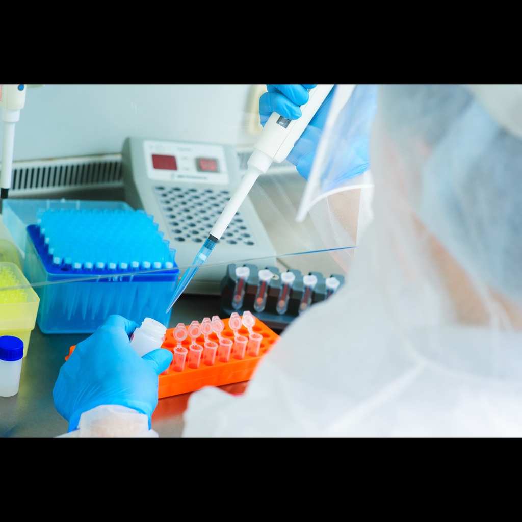 Corynebacterium bovis size: One Step PCR, 150 reactions