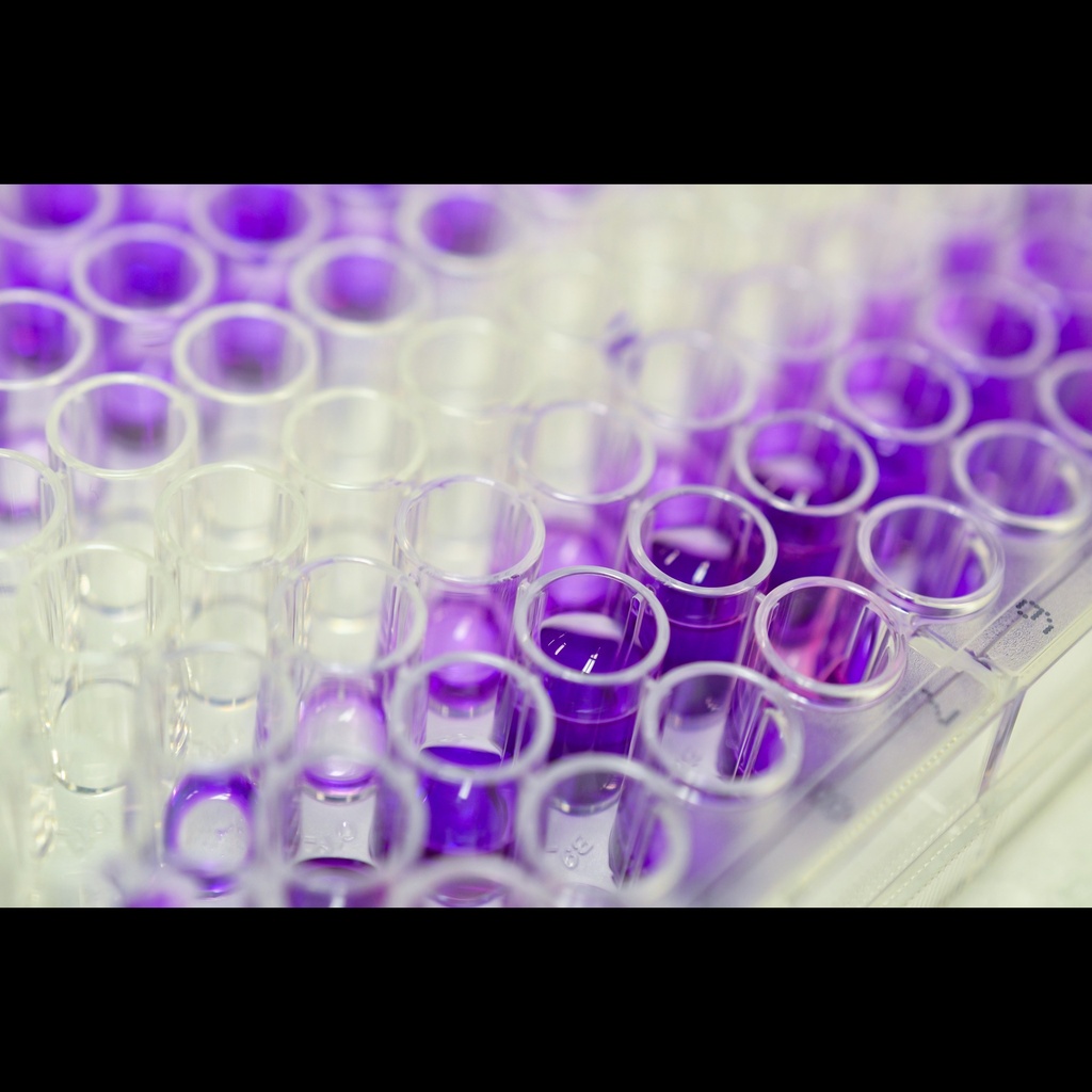 Doublesize:stranded RNA  dsRNA, modified  ELISA kit, 96 T